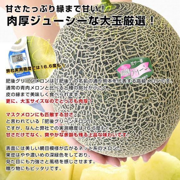 熊本県から産地直送 荻迫出荷組合 青肉メロン つる付き肥後グリーンメロン 特 5Lサイズ 合計約5キロ（2玉入り）送料無料 めろん 大玉メロン04