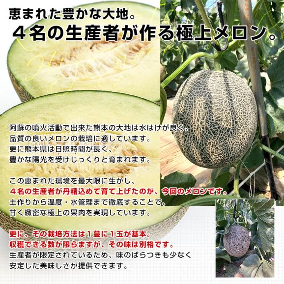 熊本県から産地直送 荻迫出荷組合 青肉メロン つる付き肥後グリーンメロン 特 5Lサイズ 合計約5キロ（2玉入り）送料無料 めろん 大玉メロン05