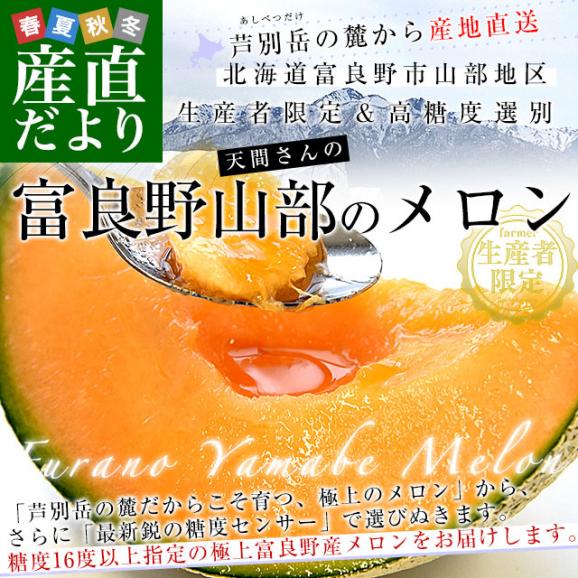 北海道から産地直送　北海道富良野市山部地区　富良野山部のメロン　超大玉8キロ（4玉入）送料無料 富良野産メロン 北海道メロン 富良野山辺地区　夏ギフト　お中元02