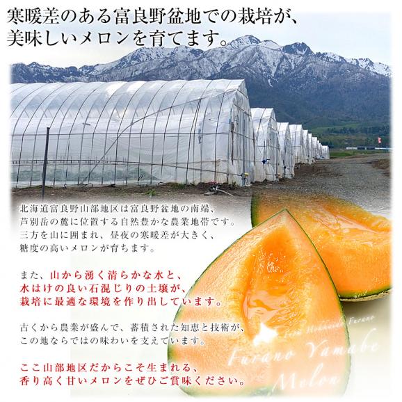 北海道から産地直送　北海道富良野市山部地区　富良野山部のメロン　超大玉8キロ（4玉入）送料無料 富良野産メロン 北海道メロン 富良野山辺地区　夏ギフト　お中元05
