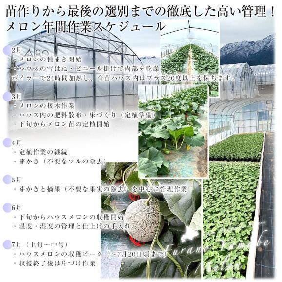 北海道から産地直送　北海道富良野市山部地区　富良野山部のメロン　超大玉8キロ（4玉入）送料無料 富良野産メロン 北海道メロン 富良野山辺地区　夏ギフト　お中元06