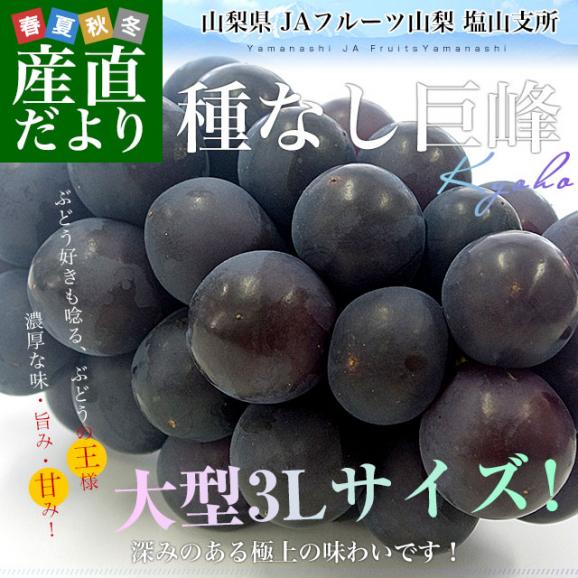 山梨県 JAフルーツ山梨 塩山支所 種なし巨峰 大型3Lサイズ 1キロ以上（2房入り）送料無料 ぶどう ブドウ 黒ぶどう 黒ブドウ 02