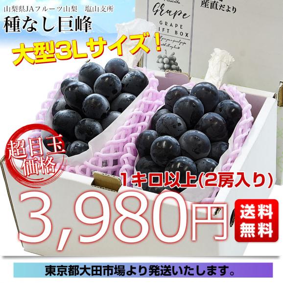 山梨県 JAフルーツ山梨 塩山支所 種なし巨峰 大型3Lサイズ 1キロ以上（2房入り）送料無料 ぶどう ブドウ 黒ぶどう 黒ブドウ 03