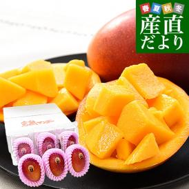 熊本県から産地直送 芦北町 たなか果樹園 完熟マンゴー 秀品 大玉2Lサイズ 6玉（合計2.1キロ以上）送料無料 葦北郡 あしきたfrom九州