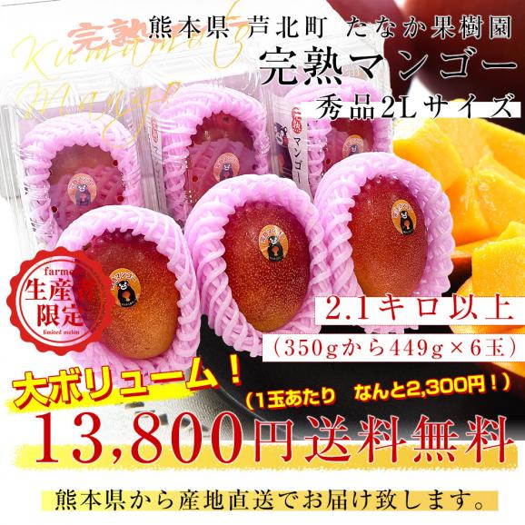 熊本県から産地直送 芦北町 たなか果樹園 完熟マンゴー 秀品 大玉2Lサイズ 6玉（合計2.1キロ以上）送料無料 葦北郡 あしきたfrom九州03