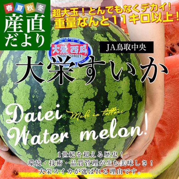 鳥取県 JA鳥取中央 大栄すいか 秀品 超大玉 特サイズ 11キロ以上 1玉 送料無料 すいか 西瓜 大玉スイカ02