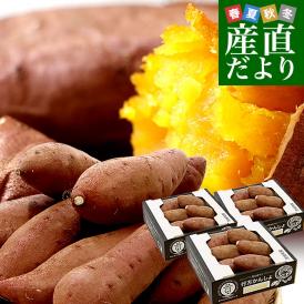 茨城県より産地直送 JAなめがたしおさい さつまいも 行方の黄福（なめがたのこうふく） 品種名:栗かぐや SからSSサイズ 約1キロ（5本から10本）3箱セット　送料無料 さつま芋 サツマイモ　