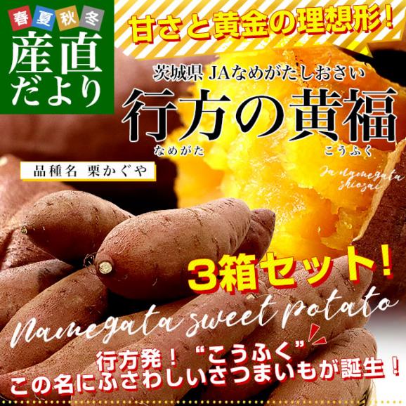 茨城県より産地直送 JAなめがたしおさい さつまいも 行方の黄福（なめがたのこうふく） 品種名:栗かぐや SからSSサイズ 約1キロ（5本から10本）3箱セット　送料無料 さつま芋 サツマイモ　02