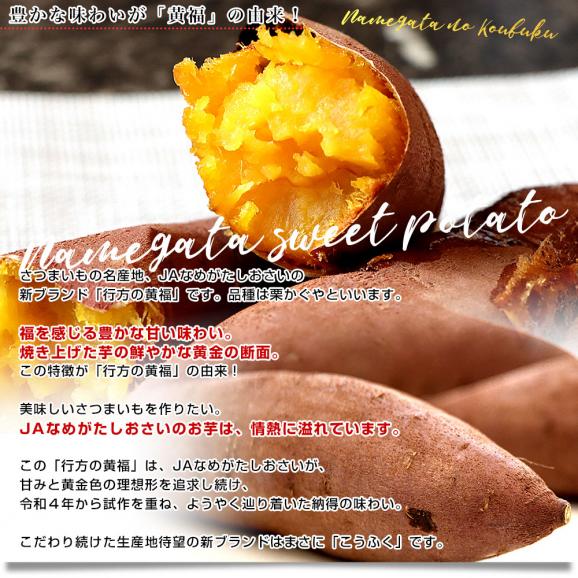茨城県より産地直送 JAなめがたしおさい さつまいも 行方の黄福（なめがたのこうふく） 品種名:栗かぐや SからSSサイズ 約1キロ（5本から10本）3箱セット　送料無料 さつま芋 サツマイモ　04