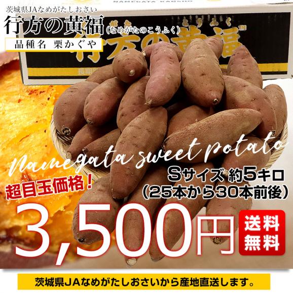 茨城県より産地直送 JAなめがたしおさい さつまいも 行方の黄福（なめがたのこうふく） 品種名:栗かぐや Sサイズ 約5キロ（25本から30本前後）送料無料 さつま芋 サツマイモ　03