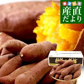 茨城県より産地直送 JAなめがたしおさい 行方の黄福（なめがたのこうふく） 品種名：栗かぐや Mサイズ 約5キロ（18本前後） 送料無料 さつま芋 サツマイモ　