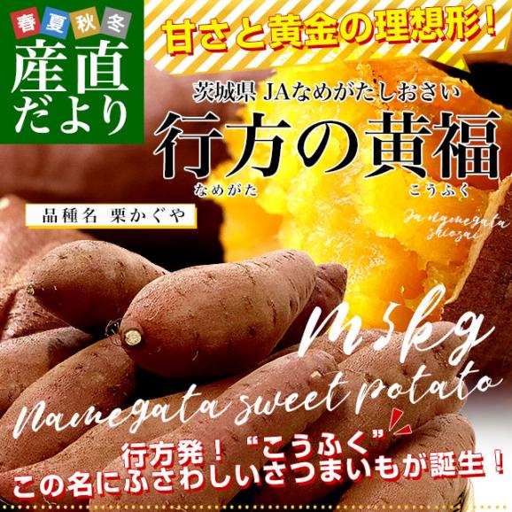 茨城県より産地直送 JAなめがたしおさい 行方の黄福（なめがたのこうふく） 品種名：栗かぐや Mサイズ 約5キロ（18本前後） 送料無料 さつま芋 サツマイモ　02