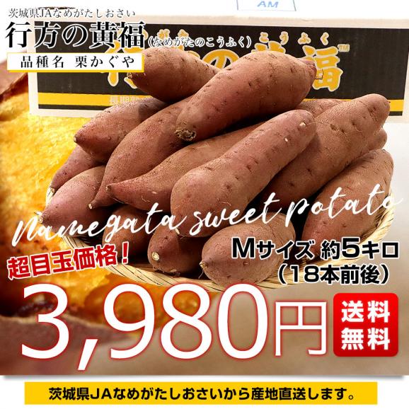 茨城県より産地直送 JAなめがたしおさい 行方の黄福（なめがたのこうふく） 品種名：栗かぐや Mサイズ 約5キロ（18本前後） 送料無料 さつま芋 サツマイモ　03