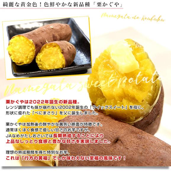 茨城県より産地直送 JAなめがたしおさい 行方の黄福（なめがたのこうふく） 品種名：栗かぐや Mサイズ 約5キロ（18本前後） 送料無料 さつま芋 サツマイモ　05