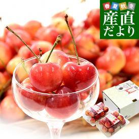アメリカ産 大粒 レイニアチェリー 9.5Rから10Rサイズ 約400g(200g×2p) 送料無料 さくらんぼ アメリカンチェリー レーニア