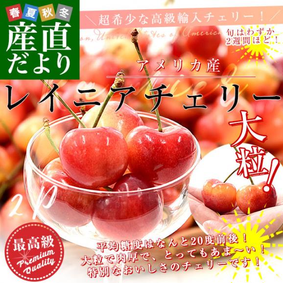 アメリカ産 大粒 レイニアチェリー 9.5Rから10Rサイズ 約400g(200g×2p) 送料無料 さくらんぼ アメリカンチェリー レーニア02