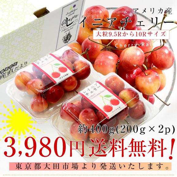 アメリカ産 大粒 レイニアチェリー 9.5Rから10Rサイズ 約400g(200g×2p) 送料無料 さくらんぼ アメリカンチェリー レーニア03