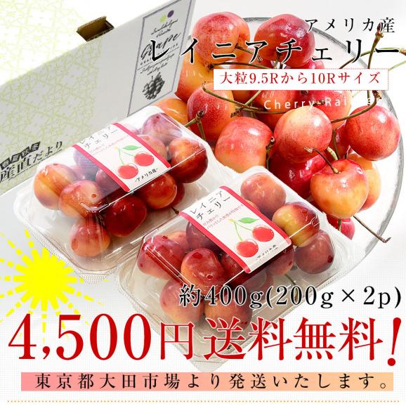 アメリカ産 大粒 レイニアチェリー 9.5Rから10Rサイズ 約400g(200g×2p) 送料無料 さくらんぼ アメリカンチェリー レーニア03