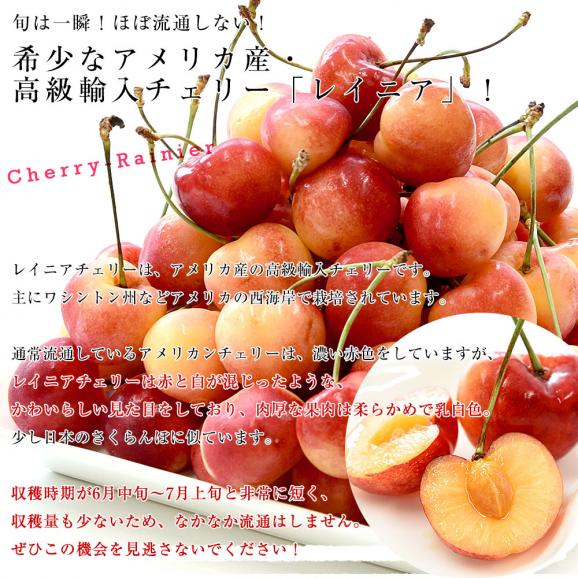 アメリカ産 大粒 レイニアチェリー 9.5Rから10Rサイズ 約400g(200g×2p) 送料無料 さくらんぼ アメリカンチェリー レーニア04