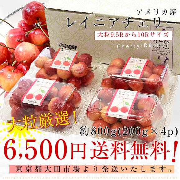 アメリカ産 大粒 レイニアチェリー 9.5Rから10Rサイズ 約800g(200g×4p) 送料無料 さくらんぼ アメリカンチェリー レーニア03