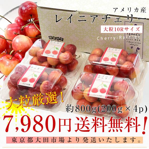 アメリカ産 大粒 レイニアチェリー 10Rサイズ 約800g（200g&times;4p） 送料無料 さくらんぼ アメリカンチェリー レーニア03