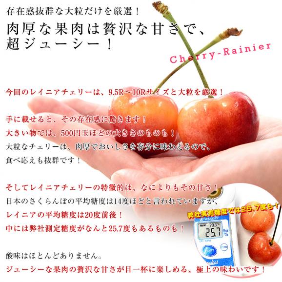 アメリカ産 大粒 レイニアチェリー 9.5Rから10Rサイズ 約800g(200g×4p) 送料無料 さくらんぼ アメリカンチェリー レーニア05