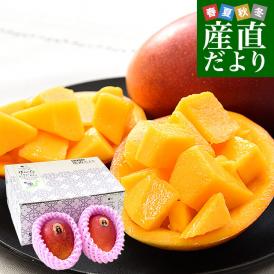 熊本県から産地直送 芦北町 たなか果樹園 完熟マンゴー 秀品 大玉2Lサイズ 2玉（合計700g以上）送料無料 葦北郡 あしきたfrom九州