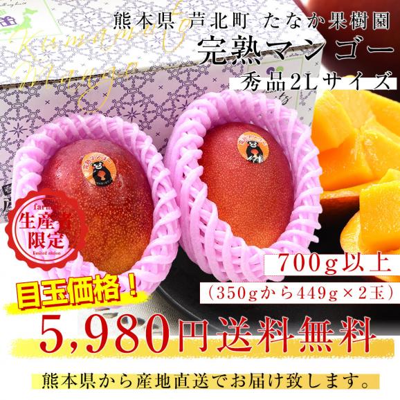 熊本県から産地直送 芦北町 たなか果樹園 完熟マンゴー 秀品 大玉2Lサイズ 2玉（合計700g以上）送料無料 葦北郡 あしきたfrom九州03