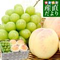 岡山県 JA全農おかやま プレミアム果物ギフト 高級ハウス栽培シャインマスカット 晴王 1房＆岡山白桃エース４玉 送料無料 ギフト　夏ギフト　お中元　御中元