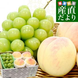 岡山県 JA全農おかやま プレミアム果物ギフト 高級ハウス栽培シャインマスカット 晴王 1房＆岡山白桃エース４玉 送料無料 ギフト　夏ギフト　お中元　御中元