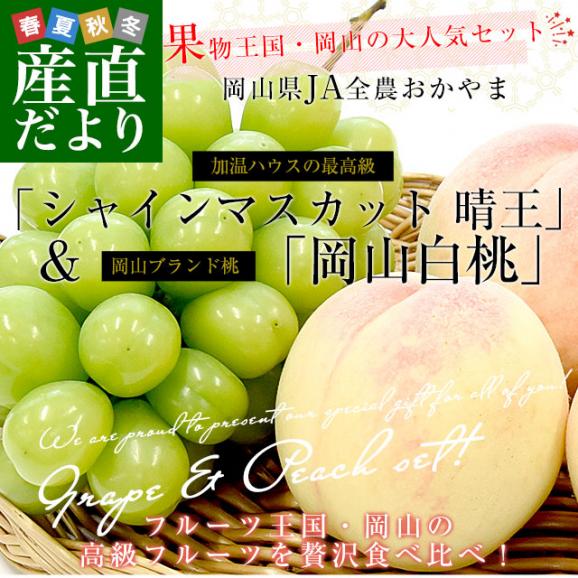 岡山県 JA全農おかやま プレミアム果物ギフト 高級ハウス栽培シャインマスカット 晴王 1房＆岡山白桃エース４玉 送料無料 ギフト　夏ギフト　お中元　御中元02