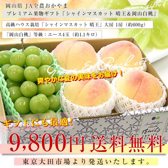 岡山県 JA全農おかやま プレミアム果物ギフト 高級ハウス栽培シャインマスカット 晴王 1房＆岡山白桃エース４玉 送料無料 ギフト　夏ギフト　お中元　御中元03