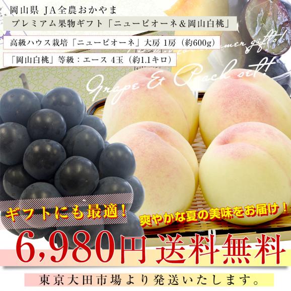 岡山県 JA全農おかやま プレミアム果物ギフト 「高級ハウス栽培ニューピオーネ1房＆岡山白桃エース４玉」 大房　送料無料 ギフト　夏ギフト お中元　御中元03