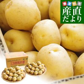 静岡県産 JAとぴあ浜松 三方原馬鈴薯 2Lサイズ 約10キロ（50玉前後） 送料無料 じゃがいも ジャガイモ