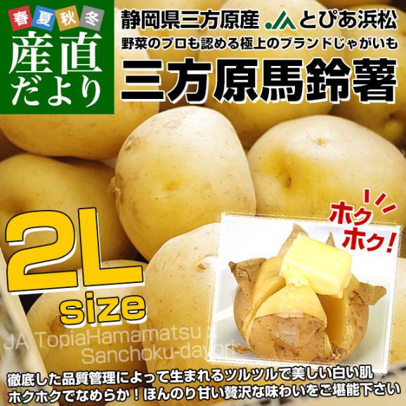 静岡県産 JAとぴあ浜松 三方原馬鈴薯 2Lサイズ 約10キロ（50玉前後） 送料無料 じゃがいも ジャガイモ02