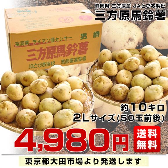 静岡県産 JAとぴあ浜松 三方原馬鈴薯 2Lサイズ 約10キロ（50玉前後） 送料無料 じゃがいも ジャガイモ03