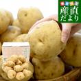 静岡県産 JAとぴあ浜松 三方原馬鈴薯 3Lサイズ 約5キロ（15玉前後） 送料無料 じゃがいも ジャガイモ
