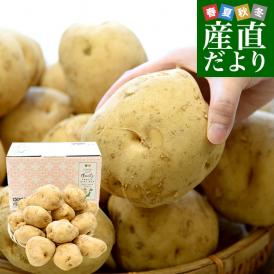 静岡県産 JAとぴあ浜松 三方原馬鈴薯 3Lサイズ 約5キロ（15玉前後） 送料無料 じゃがいも ジャガイモ