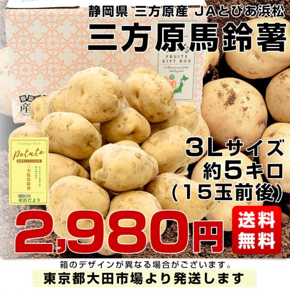 静岡県産 JAとぴあ浜松 三方原馬鈴薯 3Lサイズ 約5キロ（15玉前後） 送料無料 じゃがいも ジャガイモ03