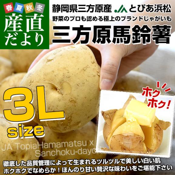 静岡県産 JAとぴあ浜松 三方原馬鈴薯 3Lサイズ 約10キロ（30玉前後） 送料無料 じゃがいも ジャガイモ02