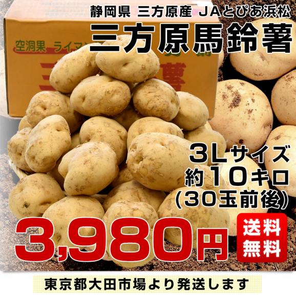 静岡県産 JAとぴあ浜松 三方原馬鈴薯 3Lサイズ 約10キロ（30玉前後） 送料無料 じゃがいも ジャガイモ03