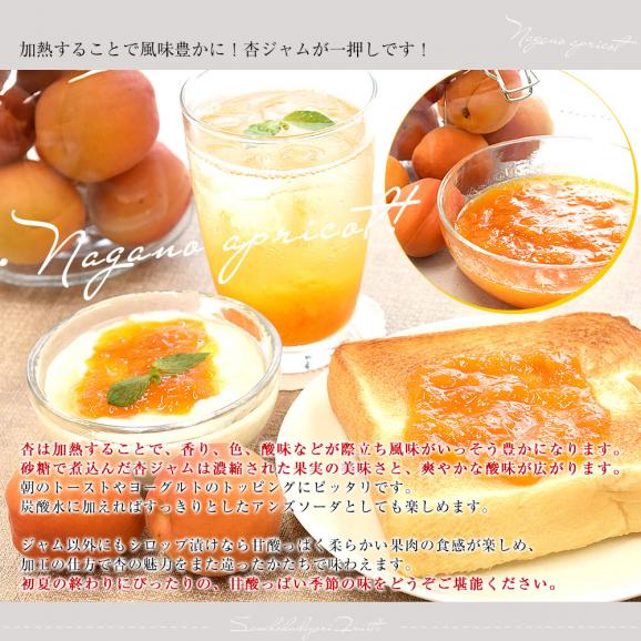 長野県産 JAながの 加工用「杏（あんず）」（品種：信州大実・平和・新潟大実など） 秀品　Lサイズ以上 約1キロ 送料無料 アプリコット 杏子 クール便06