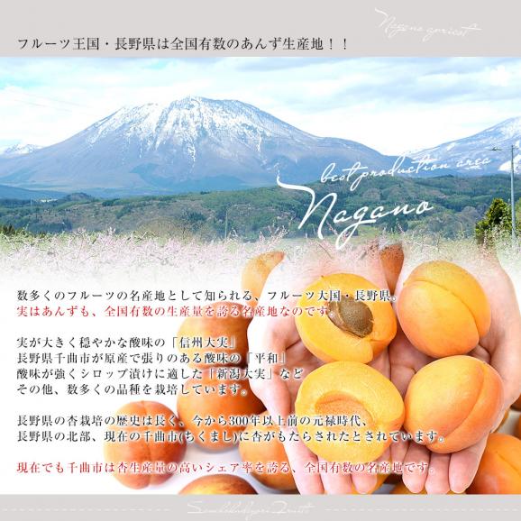 長野県産 JAながの 加工用「杏（あんず）」（品種：信州大実・平和・新潟大実など） 秀品 Lサイズ以上 約2キロ 送料無料 アプリコット 杏子 クール便05