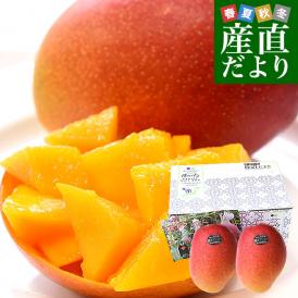 熊本県から産地直送 玉東町 清田農園 完熟マンゴー 秀品 大玉3Lサイズ 2玉（合計900g前後）送料無料 from九州 お中元 夏ギフト
