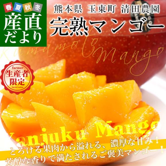 熊本県から産地直送 玉東町 清田農園 完熟マンゴー 秀品 大玉3Lサイズ 2玉（合計900g前後）送料無料 from九州 お中元 夏ギフト02