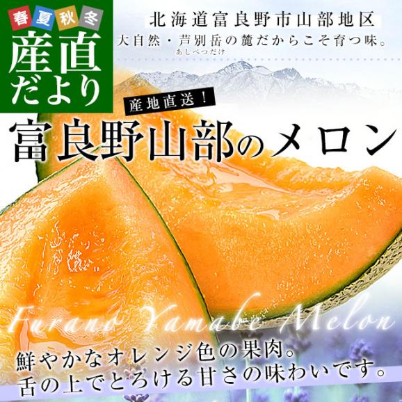 北海道から産地直送 富良野市山部地区 富良野山部のメロン 超大玉8キロ(4玉入）送料無料 富良野産メロン 北海道メロン ギフト 夏ギフト お中元 御中元02