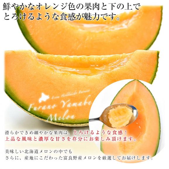 北海道から産地直送 富良野市山部地区 富良野山部のメロン 超大玉8キロ(4玉入）送料無料 富良野産メロン 北海道メロン ギフト04