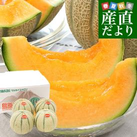 長崎県産 赤肉メロン マルセイユメロン 秀品 3Lから2Lサイズ 4玉から5玉（合計4.5キロ前後）送料無料 めろん 雲仙島原
