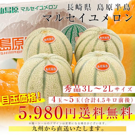長崎県産 赤肉メロン マルセイユメロン 秀品 3Lから2Lサイズ 4玉から5玉(合計4.5キロ前後)送料無料 めろん 雲仙島原03