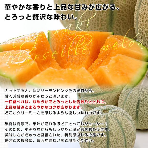 長崎県産 赤肉メロン マルセイユメロン 秀品 3Lから2Lサイズ 4玉から5玉(合計4.5キロ前後)送料無料 めろん 雲仙島原05